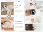 Chongker Interactive Companion Robot Cat, Handmade Weighted Stuffed Animals Plush Toy with Voice Response, Realistic Heartbeat and Purring (Ragdoll Cat 1.1) - Image 5