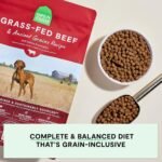 Open Farm, Ancient Grains Dry Dog Food, Protein-Rich & Nutrient Dense, 90% Animal Protein Mixed with Non-GMO Fruits, Veggies and Superfoods, Grass-Fed Beef Recipe, 11lb Bag - Image 3