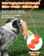 Dog Tug Toy, Bungee Tug of War Rope Toys with Squeaky Sound for Exercise & Interactive Play Games, Puppy Training Pull Toy for Small Medium Large Dogs - Image 4