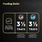 CESAR Filets in Sauce Wet Dog Food - 6 New York Strip Flavour and 6 Chicken & Garden Vegetable, 12x100g - Image 9