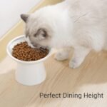 Extra Wide Elevated Ceramic Cat Bowl - 6.2" Shallow Dish for Whisker Fatigue Relief, 5" Height for Easy Feeding, Lead & Cadmium Free, Durable Raised Cat Food Bowls, White - Image 3