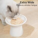 Extra Wide Elevated Ceramic Cat Bowl - 6.2" Shallow Dish for Whisker Fatigue Relief, 5" Height for Easy Feeding, Lead & Cadmium Free, Durable Raised Cat Food Bowls, White - Image 4