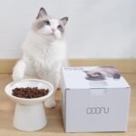Extra Wide Elevated Ceramic Cat Bowl - 6.2" Shallow Dish for Whisker Fatigue Relief, 5" Height for Easy Feeding, Lead & Cadmium Free, Durable Raised Cat Food Bowls, White - Image 5