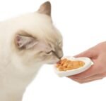 Catit Creamy Lickable Cat Treat Hydrating and Healthy Treat for Cats of All Ages - Tuna, 5-Pack - Image 6