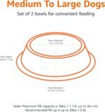 Amazon Basics Stainless Steel Non-Skid Pet Dog Water and Food Bowl, 2-Pack (25.9cm x 7cm), Each Holds Up to 1.15L - Image 3