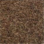 Tetra Bloodworms 0.25oz, 7g (Bilingual) - Image 5