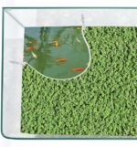 1set Wezxrauo Aquarium Floating Plant Barrier & Fish Feeding Ring - Adjustable Height Transparent Fence with Suction Cups, Multi-Purpose Floating Plant Control for Fish Tank Accessories - Image 4