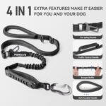 Heavy Duty Dog Leash with Strong Lead for Medium to Large Dogs, Shock Absorbing with Bungee Design, Two Padded Handle & Car Seat Belt Buckle, Light Reflective Rope (Black) - Image 8