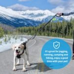 Heavy Duty Dog Leash with Strong Lead for Medium to Large Dogs, Shock Absorbing with Bungee Design, Two Padded Handle & Car Seat Belt Buckle, Light Reflective Rope (Black) - Image 9