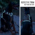 Tactical Dog Harness for Medium Large Breeds, No Pull Dog Harness with ID Card, Reflective Dog Harness with Molle, Easy Control Adjustable Dog Vest for Walking Hiking Training with Handle - Image 5