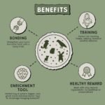 Forage Pops: 5-Pack of 100% Natural, High Fiber Enrichment Treats for Rabbits, Hamsters, Guinea Pigs, Chinchillas, Rats, and Mice - Perfect for Dental Health, Bonding, and Training - Image 6