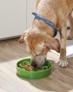 LE TAUCI Slow Feeder Dog Bowls Ceramic, 3 Cups Slow Feeding Dog Bowl Medium Large Breed, Maze Dog Bowl for Fast Eaters, Dog Dishes to Slow Down Eating, Puzzle Dog Food Bowl, Clover Green - Image 3