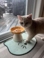 2 Pack Raised Cat Bowl 6 Inch Wide Ceramic Elevated Cat Food Bowl for Food and Water, Whisker Friendly Tilted Cat Dish for Flat Faced Kitten, Cat Feeding Bowl, Shallow Cat Dish (Red&Yellow) - Image 9