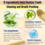 30g Freezed Dried Cat Chew Stick Egg Yolk Flavor, Cat Dental Treats for Reduce Tartar and Freshens Breath, Feline Teething Sticks Cats Treats Snack - Image 4