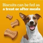 PEDIGREE Breathbuster Small Breed Adult Dog Treats - Crunchy Biscuits - with Eucalyptus Oil and Parsley, 500g Pouch - Image 4