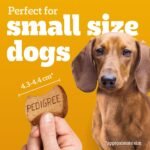 PEDIGREE Breathbuster Small Breed Adult Dog Treats - Crunchy Biscuits - with Eucalyptus Oil and Parsley, 500g Pouch - Image 5