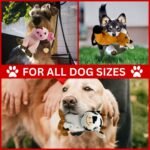 Farmyard Friends Dog Plush Toys, Soft, Washable & Durable, Interactive Squeaky Toys, Perfect for Small, Medium, & Large Breeds, Ensuring Endless Entertainment, 3 Pack Cute Dog Plushies - Image 3