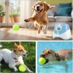 Automatic Dog Ball Thrower Launcher with 12 PCS Tennis Balls,Thrower Distance 10-30ft, Interactive Fetch Machine Toy for Small Dogs (Blue Ball Launcher) - Image 3