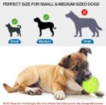 Automatic Dog Ball Thrower Launcher with 12 PCS Tennis Balls,Thrower Distance 10-30ft, Interactive Fetch Machine Toy for Small Dogs (Blue Ball Launcher) - Image 6