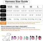 Hipubby Dog Harness Small Sized and Leash Set, No Pull Adjustable Reflective Step-in Puppy Pet Vest Harnesses for Small Medium Large Dogs and Cats - Pink, XS - Image 6