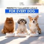 Know Better Beef Recipe Premix for Raw Or Cooked Dog Food - Complete Raw or Homemade Dog Meal Mix for Small Dogs - Puppies & Adults - Easy-to-Prepare Balanced Nutrition - Pet Supplies - 24 Oz - Image 8