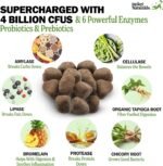 Deley Naturals Probiotics for Dogs - Dog Probiotics Chewable with 6 Digestive Enzymes & 4 Billion CFUs - Probiotic Chews for Dogs Gut Health Diarrhea & Digestion - Digestive Balance Dog Supplements - Image 3