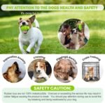 PIFFZEDO Natural Rubber Dog Toy for Large Medium Breed Aggressive Chewer Super Power Dog Chew Toys Squeaky Dog Birthday Toy Dog Toothbrush Interactive Tough Durable Dog Toys(Green,Large) - Image 6