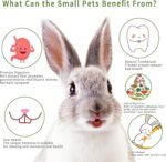 42PCS Natural Timothy Hay Sticks Bunny Toys for Rabbit, Guinea Pig, Chinchilla, Hamster, Rat, Gerbil Small Animals Chew Toys Treats Chews for Teeth for Bunny, Chinchilla, Rat, Gerbil - Image 5