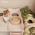 Niteangel Wooden Hamster Feeding Bowl - Small Animal Food Dish for Dwarf Syrian Hamsters Gerbils Mice Degus or Other Similar-Sized Small Pets (Hammy Pattern, for Syrian) - Image 3