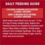 Purina ONE Classic Ground Wet Dog Food, Variety Pack 2 Flavours - 368 g Can (6 Pack) - Image 11