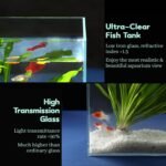 10 Gallon Ultra Clear Glass Fish Tank, Rimless Low Iron Aquarium for Betta/Nano/Goldfish/Snail/Shrimp, Big Fish Tank & Cover Set & Feeding Ring & Cleaning Tools - Image 4