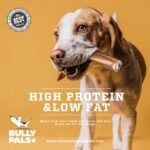 12 inch Standard Bully Sticks for Dogs - 10 Pack - All Natural, Single Ingredient, Dehydrated, Rawhide and Chemical Free, Fully Digestible Beef Dog Treats and Dental Chew Bones - Image 7