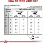 ROYAL CANIN Feline Urinary SO Dry (7.7 lb) - Image 10