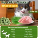 100g Cat Grass Treats, Cat Grass Teething Stick for Hairball Remove and Teeth Cleaning, Edible Cats Grasses Stick Snack - Image 3
