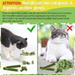 100g Cat Grass Treats, Cat Grass Teething Stick for Hairball Remove and Teeth Cleaning, Edible Cats Grasses Stick Snack - Image 5