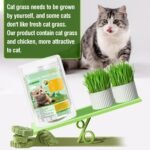 100g Cat Grass Treats, Cat Grass Teething Stick for Hairball Remove and Teeth Cleaning, Edible Cats Grasses Stick Snack - Image 6