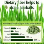 100g Cat Grass Treats, Cat Grass Teething Stick for Hairball Remove and Teeth Cleaning, Edible Cats Grasses Stick Snack - Image 8