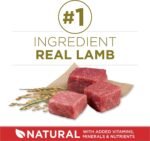 Purina ONE Dry Dog Food, Lamb & Rice - 14 kg Bag - Image 5