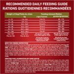 Purina ONE Dry Dog Food, Lamb & Rice - 14 kg Bag - Image 10