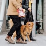 Rollover Small Gourmet Crunchy Beef Biscuits - 300g - Image 4