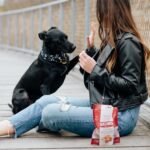 Rollover Small Gourmet Crunchy Beef Biscuits - 300g - Image 5