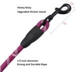 6FT/10FT Strong Dog Leashes with Comfortable Padded Handle and Highly Reflective Threads for Small Medium and Large Dogs (10 Feet x1/2'' (Pack of 1), Purple) - Image 6