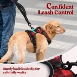 rabbitgoo Dog Harness, No-Pull Pet Harness with 2 Leash Clips, Adjustable Soft Padded Vest, Reflective No-Choke Pet Oxford Vest with Easy Control Handle for Large Dogs, Red Plaid, L - Image 8