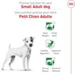 RRoyal Canin Size Health Nutrition Small Breed Dog Food Dry, Supports Healthy Weight, Digestive Health and Healthy Skin and Coat, 14 lb Bag - Image 4