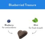 Shameless Pets Blueberried Treasure Soft-Baked Dog Treats - Natural Soft Chews for Fresh Breath & Training - Image 4