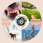 Interactive Dog Bungee Toy Rope Tug War for Pitbull Small Medium Large Dogs, Indoor/Outdoor Tree Hanging Toy for Exercise Solo Play,Spring Pole Interactive Toys with 3 Chew Rope - Image 4