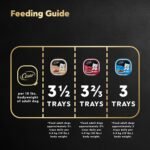 CESAR Classic Loaf in Sauce Adult Wet Dog Food Delicacies Variety Pack, 24x100g Trays - Image 9