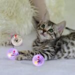 6 Pack Ghost Hunting Cat Balls - Motion Light Up LED Cat Dog Interactive Toys for Activity, Exercise, Interaction - Image 5
