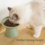 Extra Wide Elevated Cat Bowls - Ceramic Cat Food Bowl 6.2" Raised Cat Food Bowls Elevated Shallow Cat Food Dish, Whisker Fatigue, Lead & Cadmium Free, 5" Good Height for Cat Feeding, Sage Green - Image 3