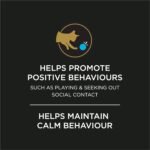 Purina Pro Plan Veterinary Supplements Calming Care Powdered Cat Calming Probiotic - 1 g Sachet (30 Pack) - Image 6